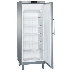 Upright Storage Freezer